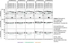 Anti Chicken IgM Antibody gallery image 5