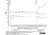 Anti Bovine IgG Antibody thumbnail image 4