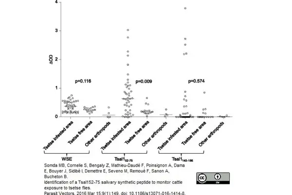 Anti Bovine IgG Antibody gallery image 5