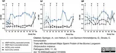 Anti Bovine IgG Antibody gallery image 7