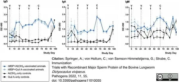 Anti Bovine IgG Antibody gallery image 7