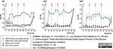 Anti Bovine IgG Antibody gallery image 8