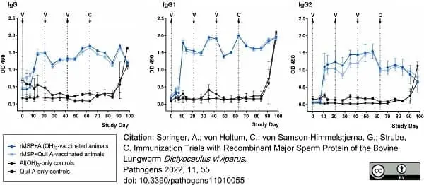 Anti Bovine IgG Antibody gallery image 8