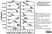 Anti Bovine IgG1 Antibody thumbnail image 1