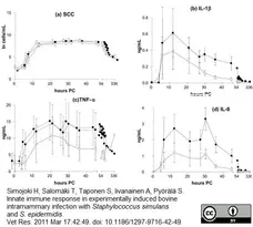 Anti Bovine Interleukin-1 beta Antibody gallery image 1