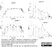 Anti Bovine Interleukin-1 beta Antibody thumbnail image 1