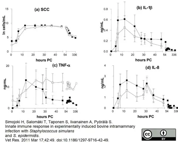 Anti Bovine Interleukin-1 beta Antibody gallery image 2