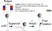 Anti Digoxigenin Antibody thumbnail image 1