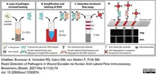 Anti Digoxigenin Antibody gallery image 2