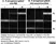 Anti Digoxigenin Antibody thumbnail image 3
