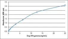 Anti Dog Interferon Gamma Antibody gallery image 1