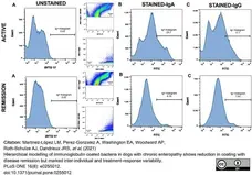 Anti Dog IgA Antibody gallery image 2