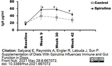 Anti Dog IgA Antibody gallery image 4