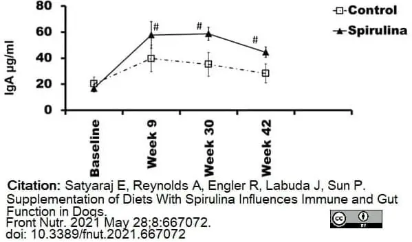 Anti Dog IgA Antibody gallery image 4
