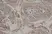 Goat Anti Hamster IgG Antibody - Biotin thumbnail image 2