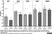 Anti Horse IgG (T) Antibody thumbnail image 1