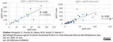 Anti Horse IgG (T) Antibody gallery image 4
