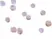 Anti Human Actin Beta (N-Terminal) Antibody thumbnail image 2