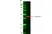Anti Actin Beta Antibody thumbnail image 4