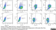 Anti Human Alkaline Phosphatase Antibody gallery image 3