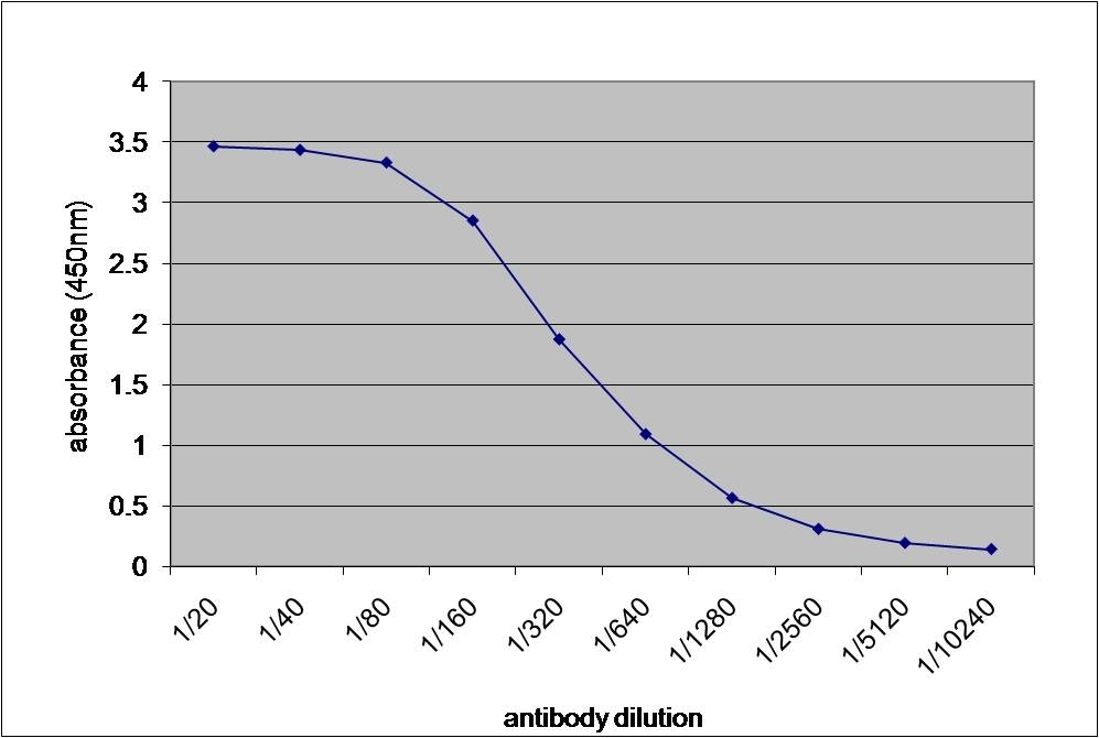 Anti Human Alpha 2 Macroglobulin Antibody gallery image 1