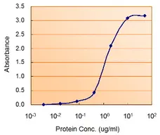 Anti Human AMPK Alpha 2 Antibody gallery image 3