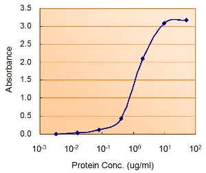 Anti Human AMPK Alpha 2 Antibody gallery image 3