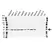 Anti APEX1 Antibody (PrecisionAb Polyclonal Antibody) thumbnail image 1