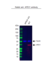 Anti APEX1 Antibody (PrecisionAb Polyclonal Antibody) thumbnail image 2