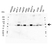 Anti ATF2 Antibody (PrecisionAb Polyclonal Antibody) thumbnail image 1