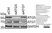 Anti Human ATG7 (C-Terminal) Antibody thumbnail image 3
