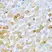 Anti BMP-2 Antibody thumbnail image 4
