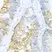Anti BMP-2 Antibody thumbnail image 5