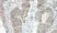 Anti Human BMP-2 Antibody thumbnail image 2