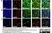Anti Human Carbonic Anhydrase II Antibody thumbnail image 1