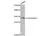 Anti Caspase-3 Antibody (Polyclonal Antibody Antibody) thumbnail image 1