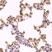 Anti Caspase-3 Antibody (Polyclonal Antibody Antibody) thumbnail image 2