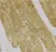 Anti Caspase-7 (C-Terminal) Antibody thumbnail image 2