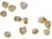 Anti Caspase-8 (C-Terminal) Antibody thumbnail image 2