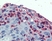 Anti Human CD11c Antibody thumbnail image 1