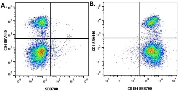 Anti Human CD184 / CXCR4 Antibody gallery image 3