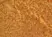 Anti Human CD194 Antibody thumbnail image 1