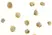 Anti Human CD257 Antibody thumbnail image 2