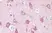Anti Human CD294 (N-Terminal) Antibody thumbnail image 1