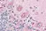 Anti Human CD294 (N-Terminal) Antibody thumbnail image 3