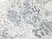 Anti CD54 Antibody (PrecisionAb Polyclonal Antibody) thumbnail image 3