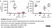 Anti CDKN2A Antibody thumbnail image 8