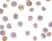 Anti DAD1 Antibody thumbnail image 2