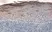 Anti Human Defensin Beta 2 Antibody thumbnail image 3