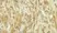 Anti Human G-CSF Antibody thumbnail image 1